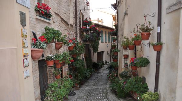 Picturesque street in Spello, decorated with beautiful floral arrangements adorning both sides of the street, a characteristic feature of the town.